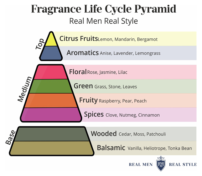 fragrance notes explained