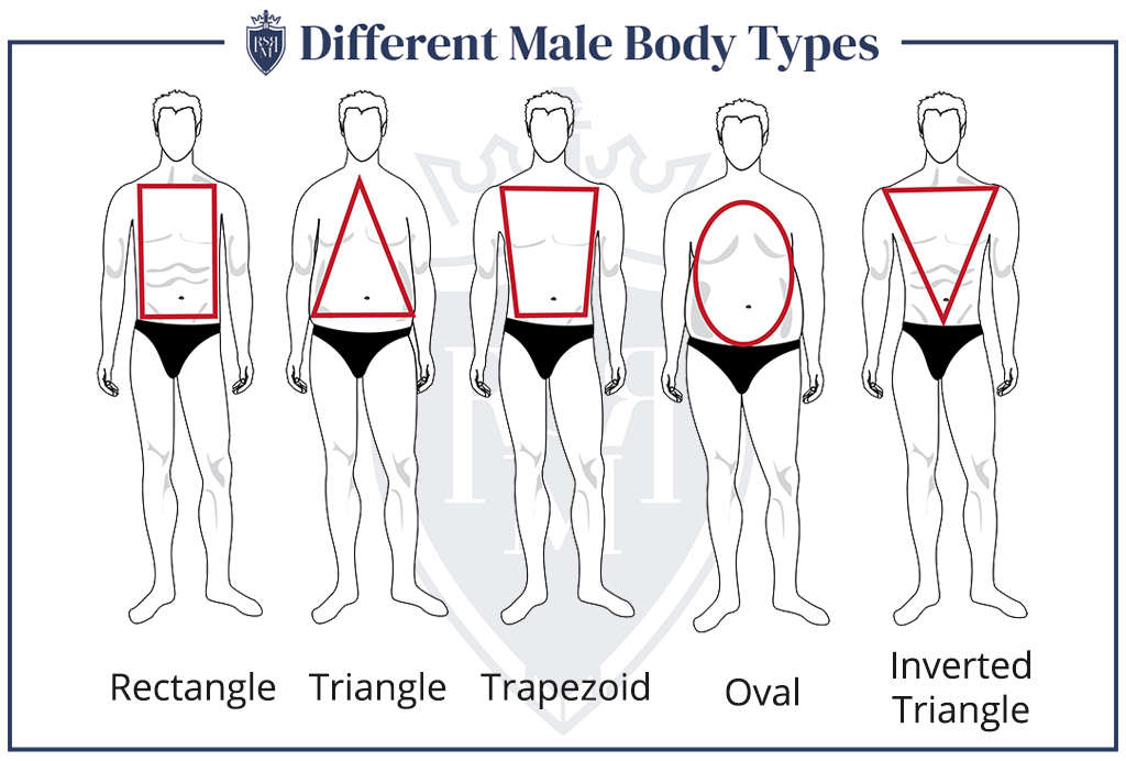 Different Male Body Types