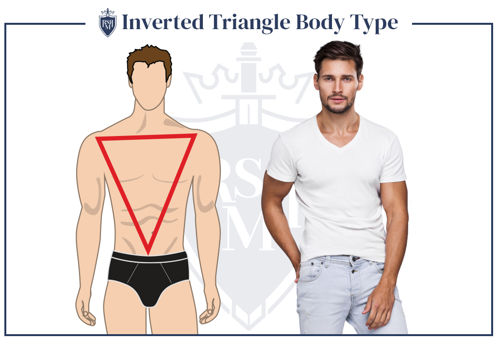 infographic inverted triangle male body type