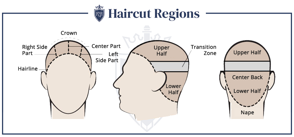 Infografik - Haarschnittregionen